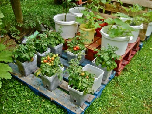 meuble-en-palette-jardin-meuble-exterieur-idee-jardinage