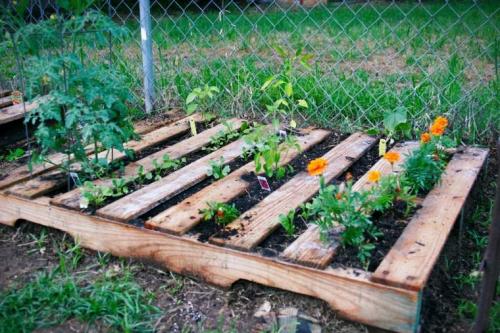 modele-jardiniere-palette-bois-jardin-potager-amenagement-pas-cher