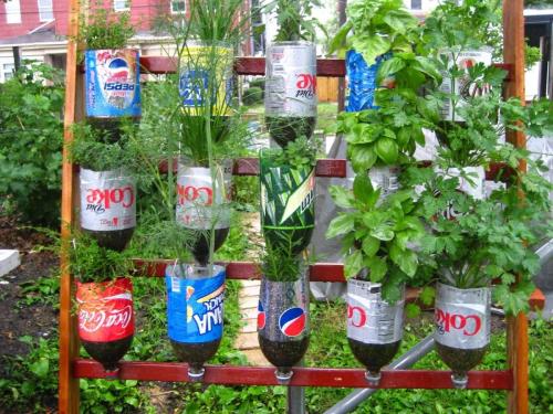 recycle-stunning-recycled-gardening-589096